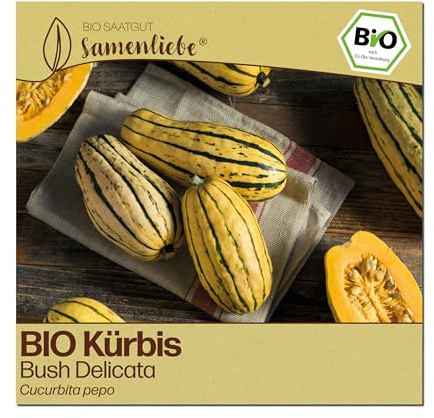 Samenliebe BIO Kürbis Samen | Bush Delicata Kürbis - samenfestes BIO Saatgut
