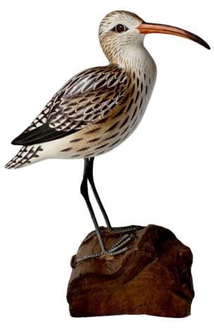 Shared Earth Curlew On Tree Trunk, Hand Carved Wooden Indoor/garden Ornament 23cm