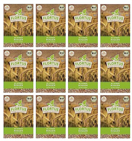 FLORTUS BIO Roggen Getreide Samen 900g | Alte Sorten Urgetreide zur Herstellung von Mehl Sauerteig Brot Roggengras & Microgreens | Sprossen Samen