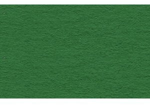 Ludwig Bähr 10 x Tonpapier 130g/qm 70x100cm dunkelgrün