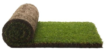PetGround, Recambio de césped/Hierba 100% Natural para Caja, Alfombra Olfativa, para tu Mascota (S)