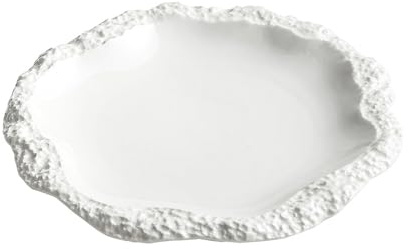 Qaixwuyi Plato de cerámica blanco redondo de 9 pulgadas, plato de postre, plato de fruta, plato de pasta para restaurante, bar, cafetería, cocina, boda