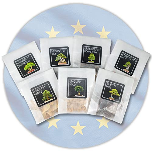 European Bonsai Seed Collection | 7 Types | Grow Your Own Bonsai Tree | Growing Guides