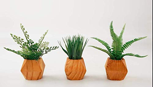 Ella and Lulu Dessign Set mit 3 Farnen und Gras in Chevron-Töpfen, künstliche Nelke, Vase für Haus, Garten, Innen- und Außenbereich, Dekoration, Grün, Einheitsgröße, Grün
