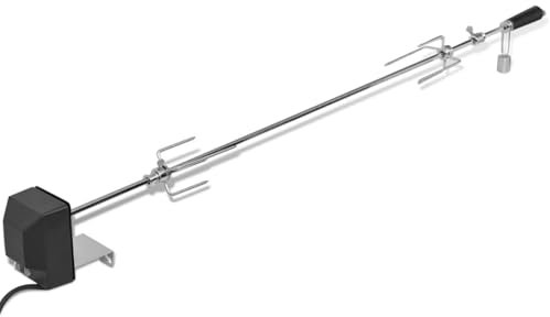 Tidyard Broche à rôtir avec Moteur 1200 mm Acier