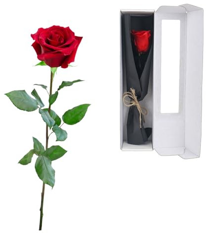 elthmpr Preserved Rose Gifts for Women - Eternal Real Rose with Stem Valentine's Day Flowers Roses for Her Birthday for Gifts Wife Women Mum