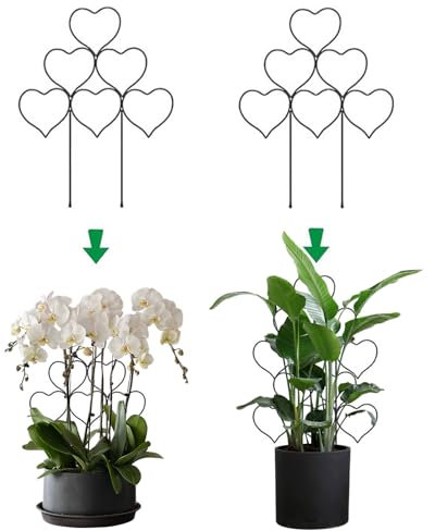 BelleVive Paquete de 2 enrejados para plantas trepadoras en habitaciones, enrejado apilable para plantas en maceta, pequeño enrejado para plantas de interior, soporte para enredaderas