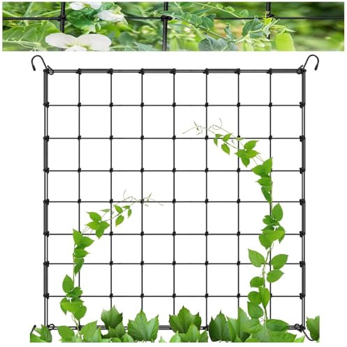 Granmagazz Rete per Piante Rampicanti, Nylon, Supporto per Piante Rampicanti, Rete Quadrata, Nero, 90 x 90 cm