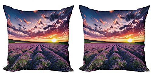 Lunarable Lavender Throw Pillow Cushion Cover Pack of 2, Blooming Fields in Endless Rows Agriculture Aromatherapy Rural Countryside Image, Zippered Double-Side Digital Print Decor, 16, Multicolor