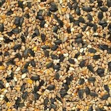 20 kg Johnston & Jeff Select Wild Bird Food | Premium High Energy Seed Mix with Black Oil Sunflower Seeds | All-Season Garden Bird Feed for Feeders & Tables
