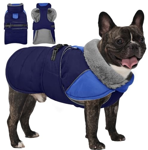 Lelepet Hunde Wintermantel Wasserdicht für Mittelgroße Hunde, Warmer Hundemantel mit Geschirr, Winter Hundeanzug Hund Fleece Jacke, Gemütliche Hundebekleidung für Kaltes Wetter (Blau, M)