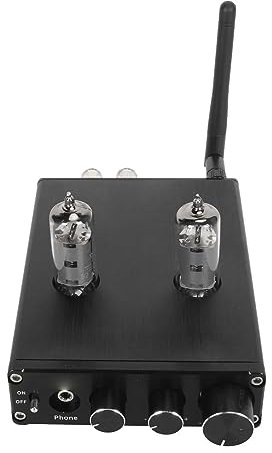 Amplificatore Valvolare, HiFi Ampia Gamma Dinamica Doppio Ingresso Trasmissione Stabile a 2 Amplificatore Valvolare 5.1 per Soggiorno (Spina UE Tubo elettronico 6K4)