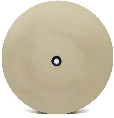 Mola abrasiva in corindone monocristallino da 10 pollici, 220/400/600/1000/2500 mesh for affilacoltelli raffreddato ad acqua(2500 mesh)