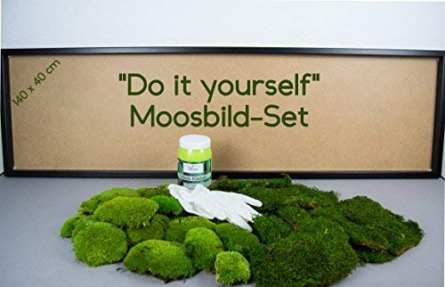 DIY Moosbild, Wandbilder selber kleben, Moosbilder selbst gestalten Do it yourself Set Moos kleben Wanddeko selbst herstellen Deko Komplett-Set Bilderrahmen Rahmen Holzrahmen (schwarz, 140x40)