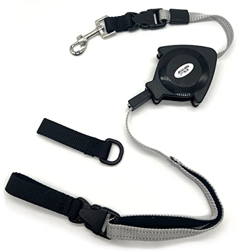 The Buddy System Retract A Buddy Laisse rétractable Mains Libres pour la Marche, Le Jogging, la Course à Pied, la randonnée et Le Dressage des Petits Chiens