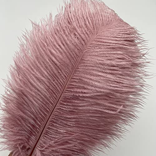Sowder Lot de 10 plumes d'autruche de 30 à 35 cm pour décoration de maison, mariage (rose poudré)