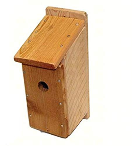Songbird Essentials DIY Build a Birdhouse Bluebird Kit. Made of Cedar Wood. Great Project for Kids