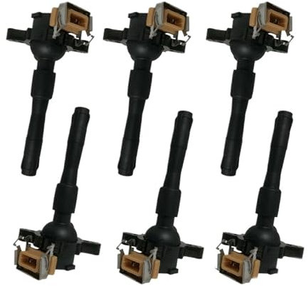 12139067830 0221504029 6 PCS Zündspule Kompatibel for BMW E36 E46 E60 E39 E38 E52 E53 X5 4,4 i 4,6 ist M62 4,4 L Z8 S62 12131703227