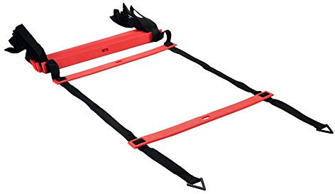 Pure2Improve - Agility-Leiter, Trainingsleiter, Trainingsleiter für Sporttraining, Fußballtraining, Lauftraining, Schnelligkeitstraining, 450cm
