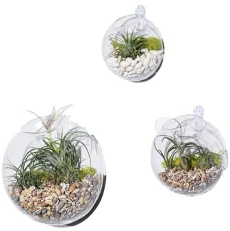 Set von 3 Wandblasen Terrarien Moderne Wandvasen für Sukkulenten & Luftpflanzen | Indoor Pflanzen Vase Wandmontiert (wandvasen für Pflanzen innen, 4/4.8/6 Zoll) | Deko für Wohnzimmer, Büro