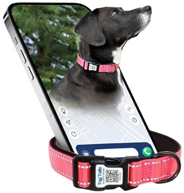 Tag Tails Hundhalsband med QR-kod – ID Halsband för Hund – Justerbart, Vattentätt Säkerhetshalsband (Rose Red, S)