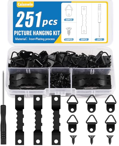 Caianwin 251Pcs Picture Hanging Kit, Wall Hooks for Hanging Pictures, Picture Hangers Set with Sawtooth, D Ring, Screws, Picture Hanging Tool for Photo Frames, Paintings, Mirrors (Black)
