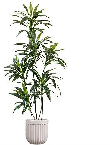Plantas Artificiales Decorativas Grandes 150cm Ficus Artificial con Troncos Naturales Arbol Artificial Ideal for Interior Y Exterior Hogar Decoración(150cm)
