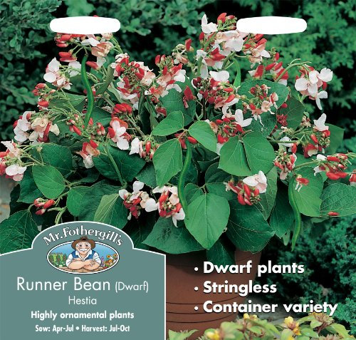 Mr Fothergills - Pictorial Packet - Vegetable - Runner Bean Hestia Dwarf - 45 Seeds