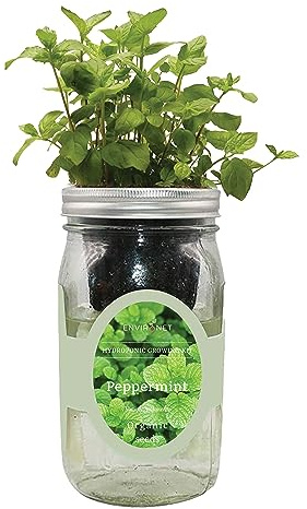 Environet Kit de culture hydroponique d'herbes aromatiques à arrosage automatique Mason Jar Kit de démarrage de jardin à l'intérieur, cultivez vos propres herbes à partir de graines (menthe poivrée)