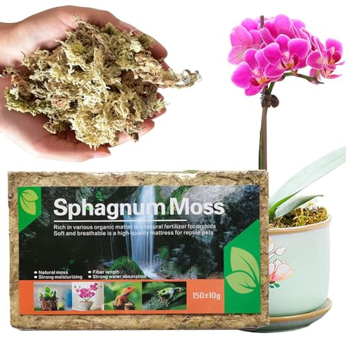 Moss De Orquídeas: Fibra De Esfagnum Seca, Sustituto De Turba | Material De Siembra Premium Con Excelente Absorción, Adecuada Para Orquídeas En Macetas, Especies Carnívoras, Recipientes De Reptiles Y
