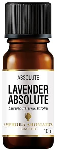 Amphora Aromatics Lavender Absolute Essential Oil 10ml