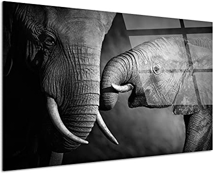 DECLINA Acrylglasbild, Deko, Foto, Elefant und seine Mutter, modernes Plexiglas, Wandbild, Druck auf Acrylglas, Rahmen Plexis, 120 x 80 cm