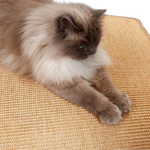 Natürliche Katzenkratzmatte Sisal für Katzen - Beige 80x100cm (Rechteckig) | Rutschfeste Kratzmatte langlebiger Kratzteppich robust für Boden Kratzfläche für Möbelschutz Kratzunterlage