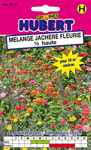 Mélange de Graines de Fleurs Jachère Fleurie 1/2 Haute Pour 10 m² - 12 grammes