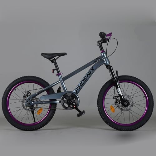Mountainbike 22 Zoll Scheibenbremse Singlespeed Stoßdämpfung Geeignet für Jungen und Mädchen A,22 inches