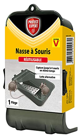 PIEGE NASSE 4 SOURIS PROTECT EXPERT