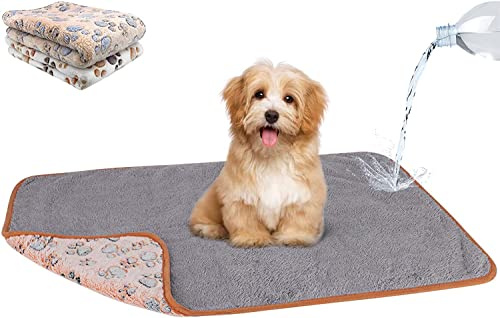 HYLYUN 2 Stück Hundedecken, wasserdicht & waschbar, Fleece für Sofa & Bett | Wendbare Fleecedecken, Sofaschutz vor Nässe, Weiche Plüschseite, Reversible Decke für kleine Hunde & Katzen, 76 x 52 cm