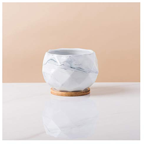 Flower Pots Outside Plant Pot Ceramic Flower Planters Indoor Modern Succulents Containers with Drain Hole Saucer Decorate Home Office Outdoor Small Flower Pots (Color : Blue Size : 2) (White 2)