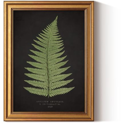 ARPEOTCY Gold Framed Canvas Wall Art, Botanical Wall Decor, Fern Artwork Painting Pictures, Bedroom Kitchen Shelf Decor, Dark Academia Retro Country Farmhouse Canvas Paintings, 12x16inch