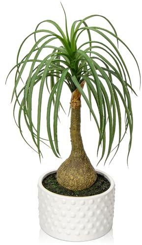 Hollyone Fake Plants Artificial Potted Plants Artificial Ponytail Palm Plant in Pots Faux Bonsai Plants for Office Table Desk Shelf Bathroom Bedroom Greenery Decoration Room Indoor Home Decor