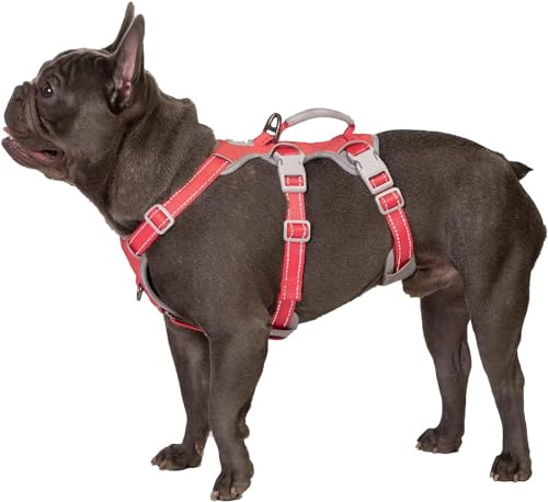 Huntboo Ausbruchsicheres Hundegeschirr, Sicherheitsgeschirr für Hunde, Vollständig Reflektierendes Geschirr mit Griff, Atmungsaktiv, Verstellbare Weste für Kleine Hunde, die Gehen, Trainieren (Rot, S)