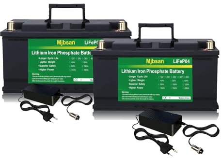 12 V 100 Ah LiFePO4-Lithium-Batterie Deep Cycle Battery, eingebautes 100 A BMS, 1280 W Ausgangsleistung für Wohnmobile, Solaranlagen, Marine, Energiespeicherung zu Hause und netzunabhängig(2 Pack)