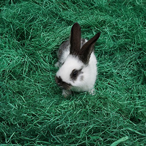 5 kg * Ostergras * grün eingefärbte Holzwolle für Osternest, Deko, hohe Qualität