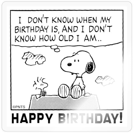 Peanuts Geburtstagsdesign Mit Snoopy Und Spruch Sticker Aufkleber