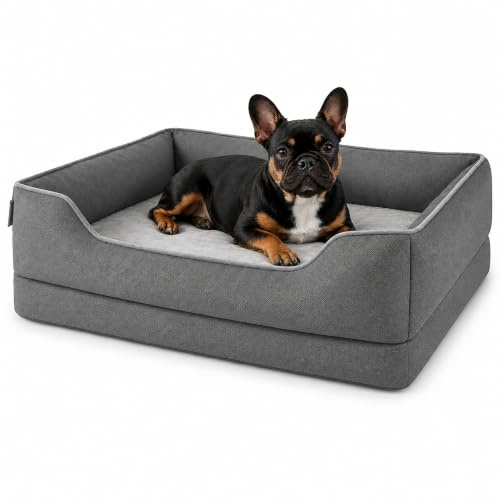 Zedelmaier orthopädisches Hundebett für kleine Hunde, M 76×56cm, Dunkelgrau | Hundekörbchen waschbar, Bezug abnehmbar, extradicke Matratze, hoher kratzfester Rand, Hundekorb oben und seitlich wasserdicht