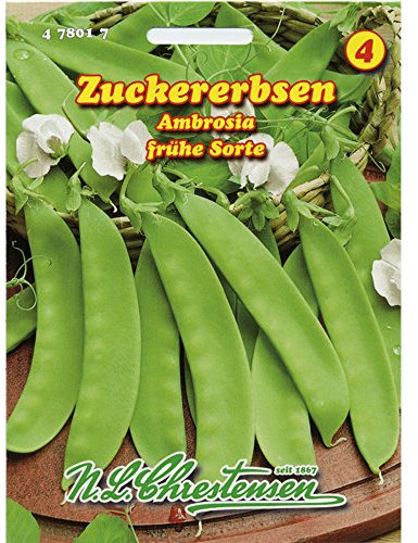 Zuckererbse Ambrosia (Portion)