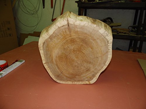 KJR Holzmanufaktur Baumscheibe, Holzscheibe, ca.40 x 10 cm, basteln, Holz, geschliffen, Eiche