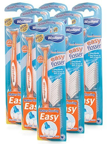 Wisdom Easy Floss Daily Flosser 6 Packs