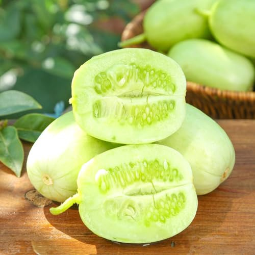 semillas de pepino al aire libre - resistentes cocina orgánicas exterior trepadoras variedades 200pcs