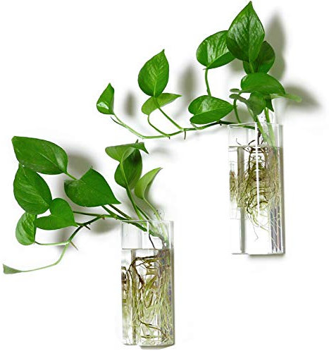 Dokimiya Tubo de propagación de vidrio para colgar en la pared, contenedor de terrario, forma rectangular, jarrón para plantas hidropónicas, hogar, oficina, jardín, decoración de boda, paquete de 2